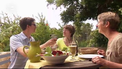 Barigoule: una especialidad de verduras del mediodía francés | Euromaxx