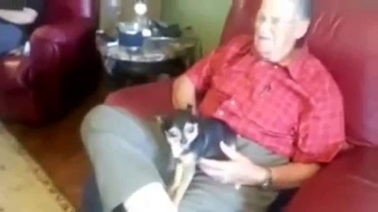 Dad's dog hates Daniel and barks constantly at him.