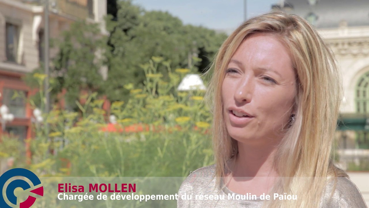 Le réseau Les Moulins de Païou et l'opération Lyon VISIOCOMMERCE