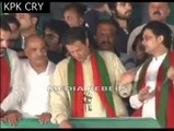 Imran khan call donkeys to overseas Pakistanis