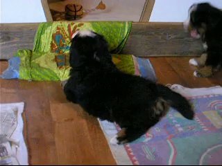 18 sep dispute entre Jäger et Jeudi