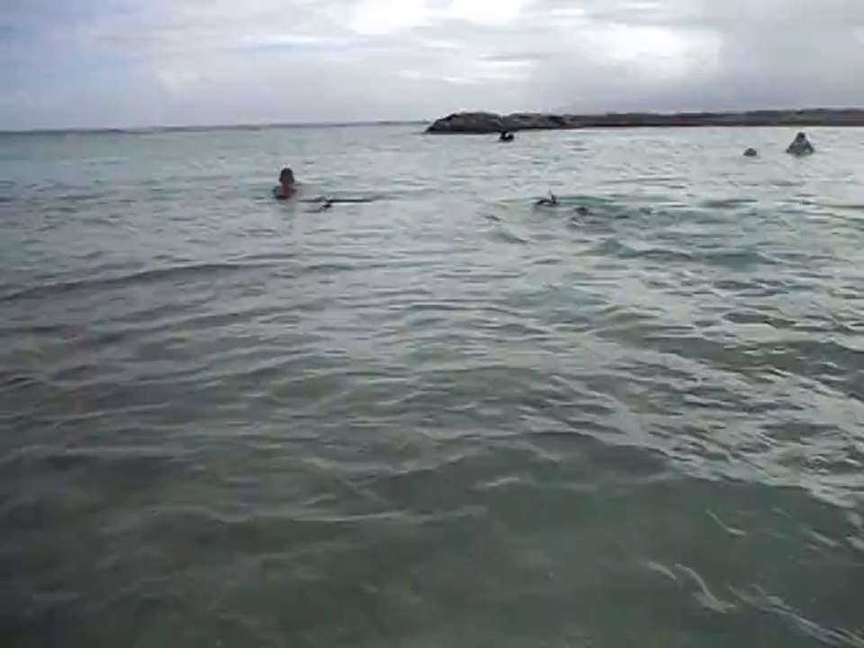 Les 3 petiots avec palmes