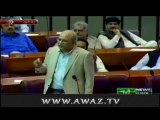 Mushahidullah Khan Abusing PTI & PAT Sit-in Participants in Parliament