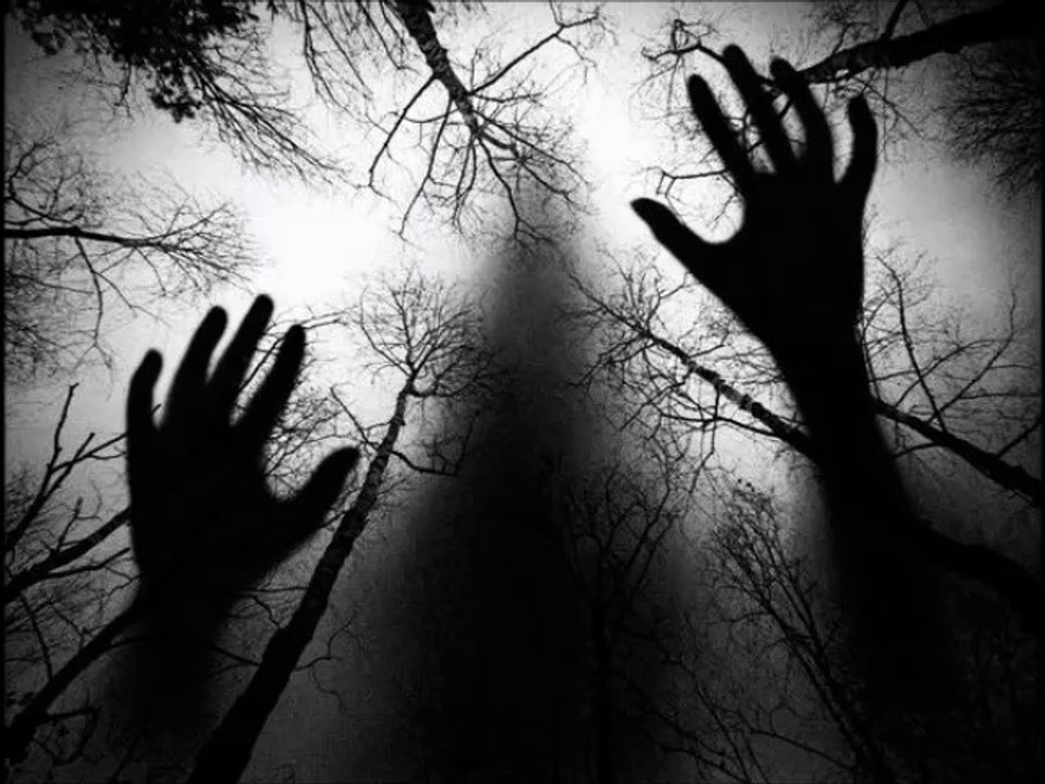 Ohne Unter Titel - A4/ Bin Ich Hier Im Urwald