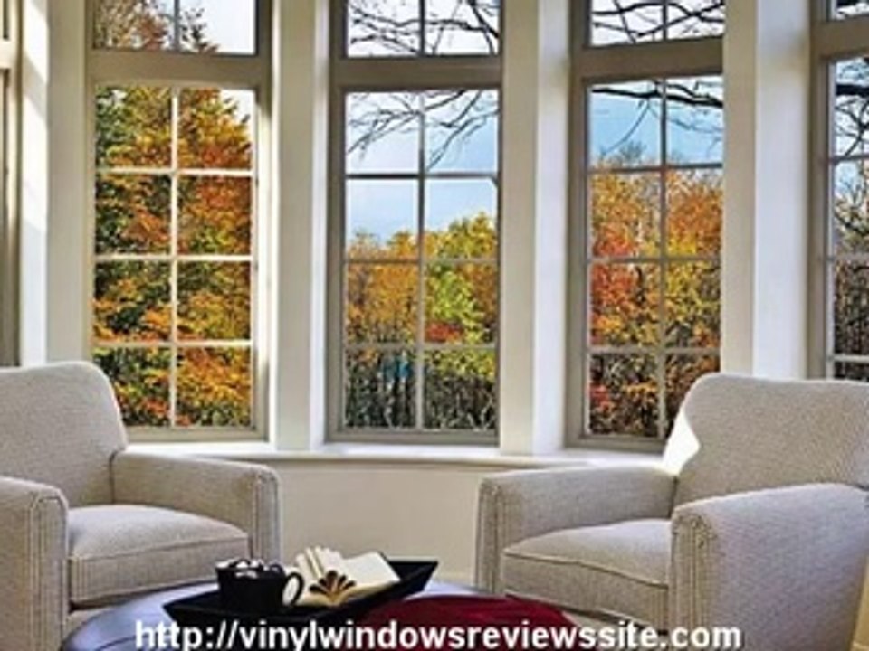 Vinyl  Home window  Analysis