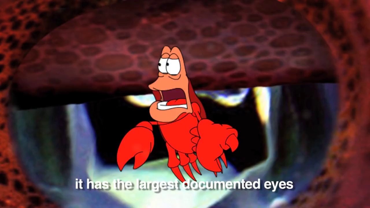 Under The Deep Sea (Little Mermaid Parody).