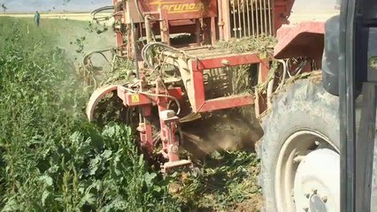 2014 pancar söküm sezonuna Bismillah dedik