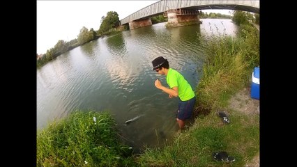 MULET 55cm sèvre niortaise 2013