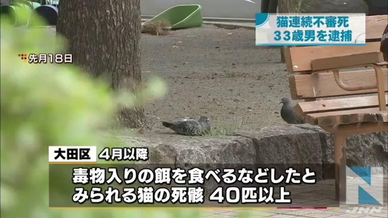 gyakutai