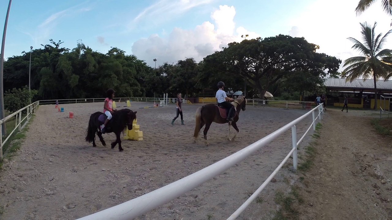 JB Poney sept. 2014
