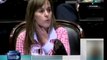 Argentine Chamber of Deputies approve reforms to Supply Law