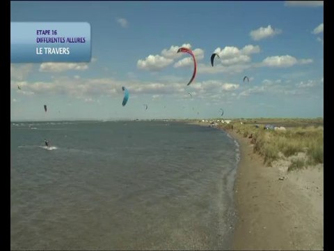 14-les differentes allures