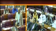 Senator Mushahid Hussain NaTahir-ul-qadri Or Imran Khan Ko Parliament House Mein Khitab Karta Galyan