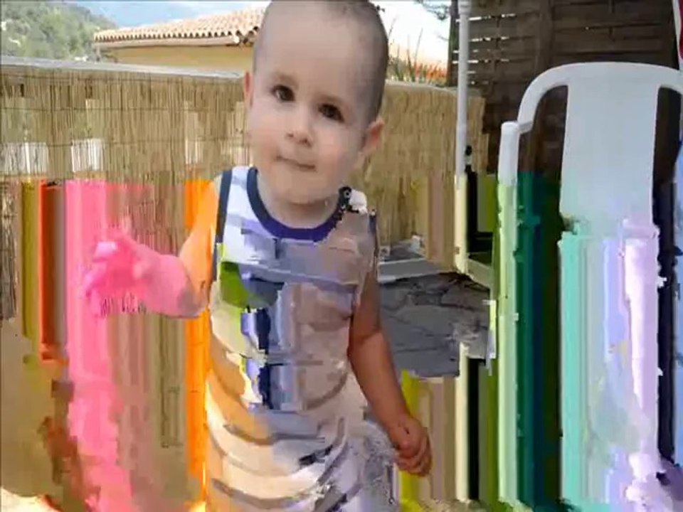 DES ANIMAUX QUI AIMENT ET QUI SAUVENT DES HOMMES