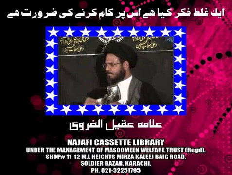 ایک غلط فکر کیا ہے اس پر کام کرنے کی ضرورت ہے ۔ مولانا عقیل الغروی