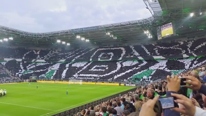 Le tifo parfait du Borussia M'Gladbach