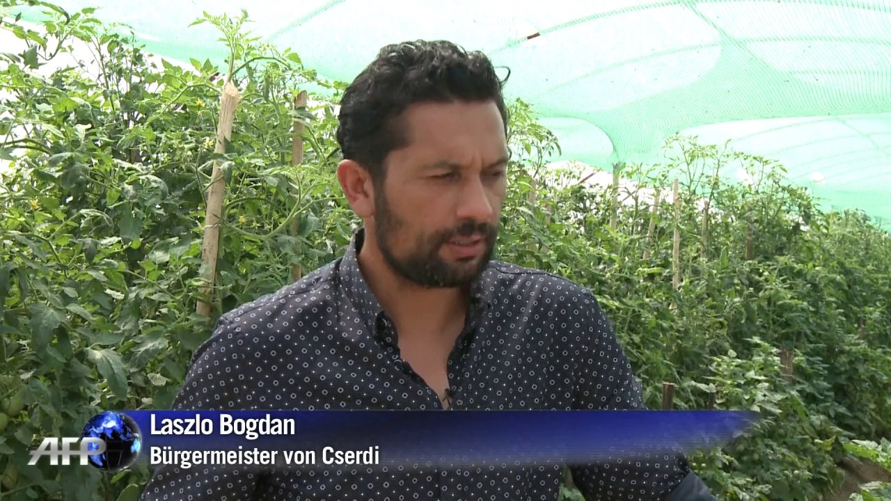 Roma-Bürgermeister krempelt Dorf um