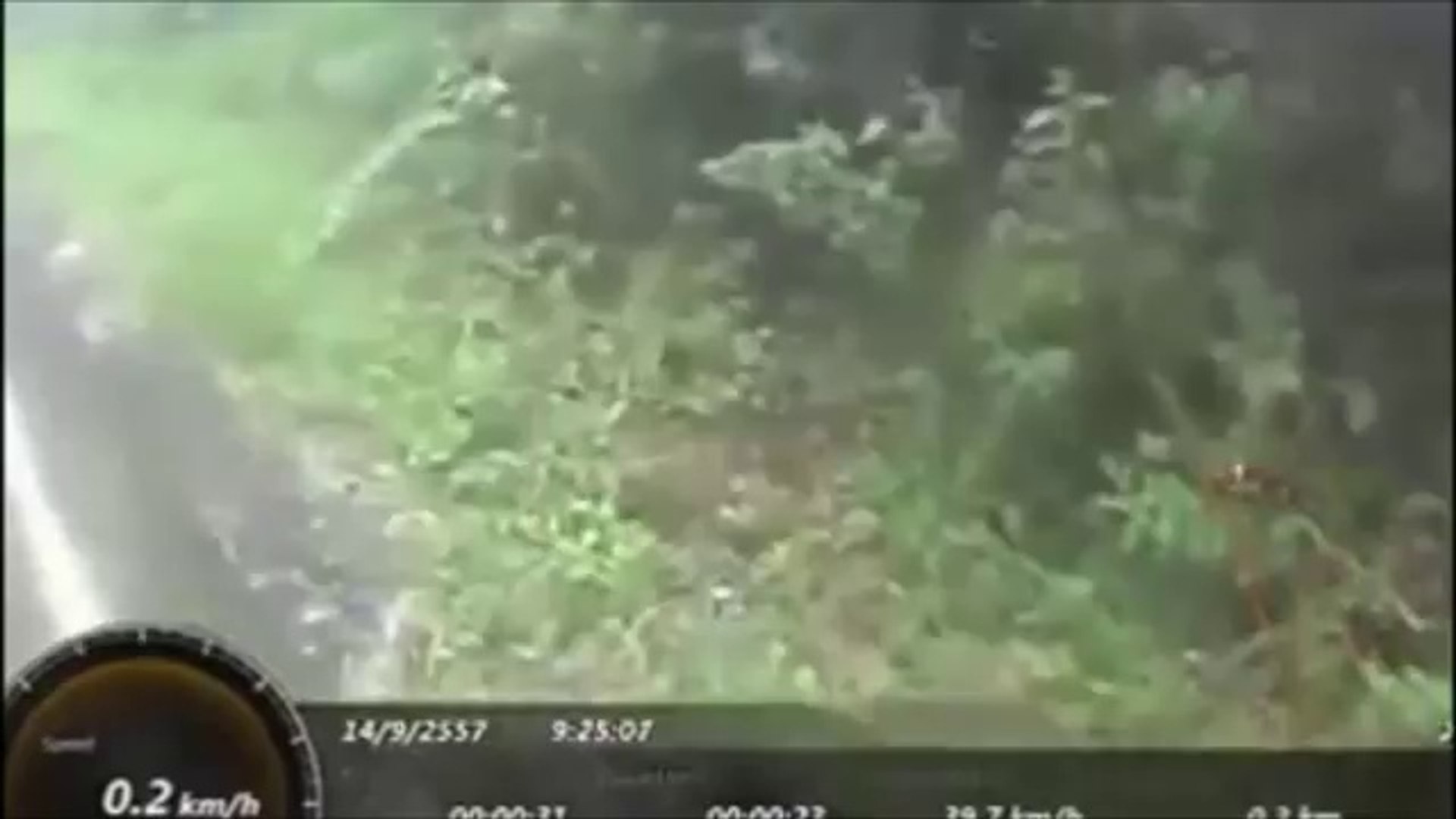 ⁣Attention : éléphants en colère