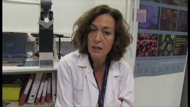 En busca de quimioterapia sin vómitos y con pelo