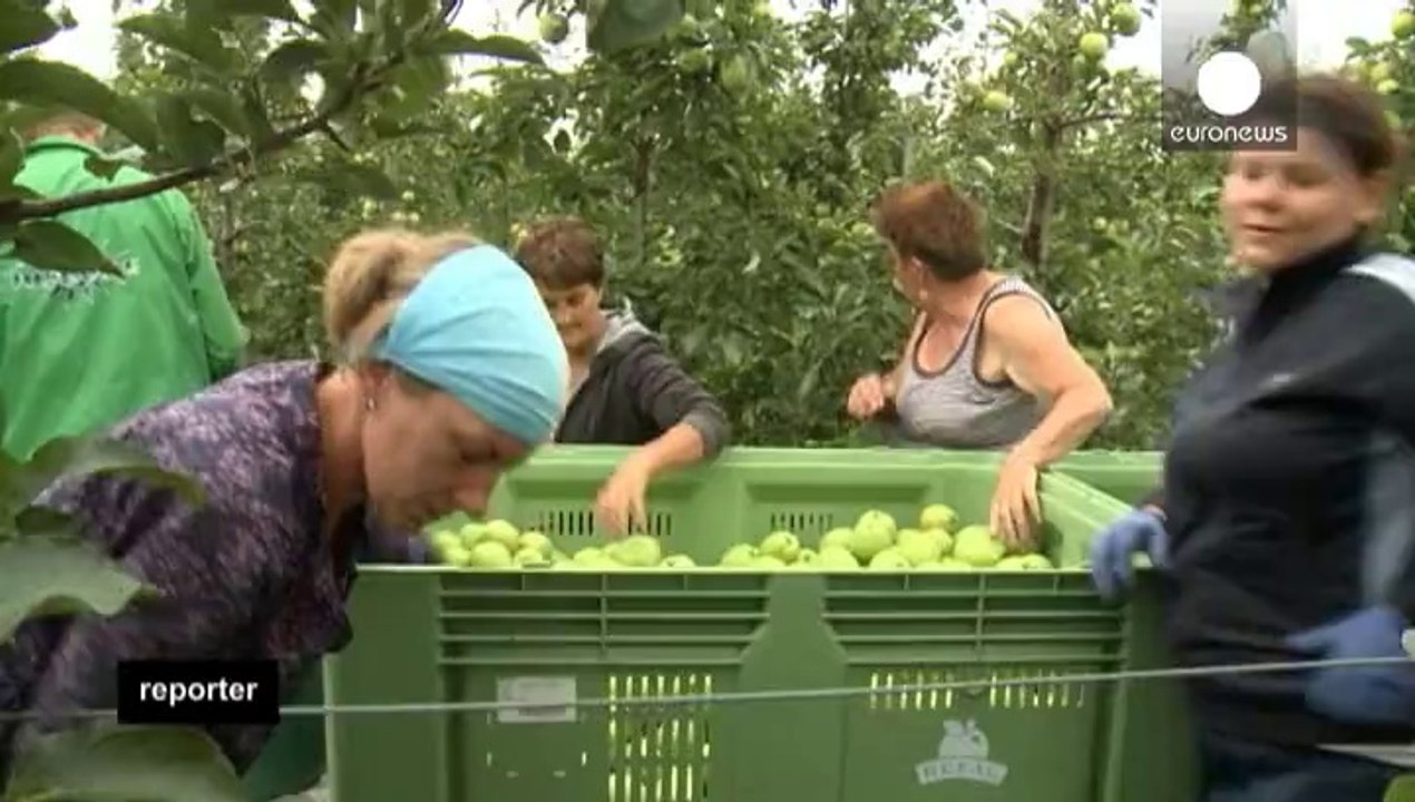 Polen: Apfelessen "patriotische Pflicht"