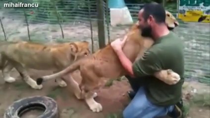 Des animaux sauvages qui fraternisent avec des hommes