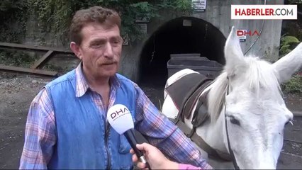 Maden Ocağında Katırlar Sayesinde Çalışmaya Devam Ediyorlar