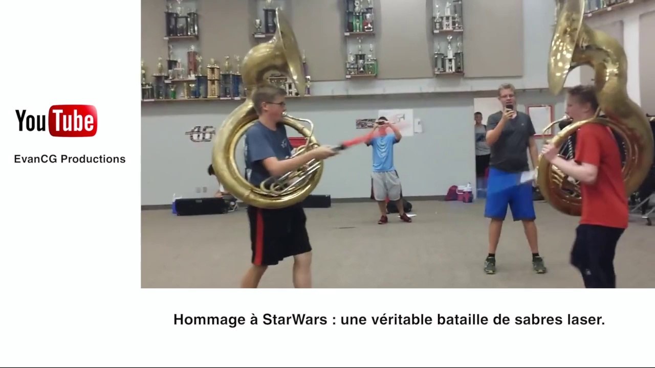 Un papillon qui aime la flûte: le zapping insolite