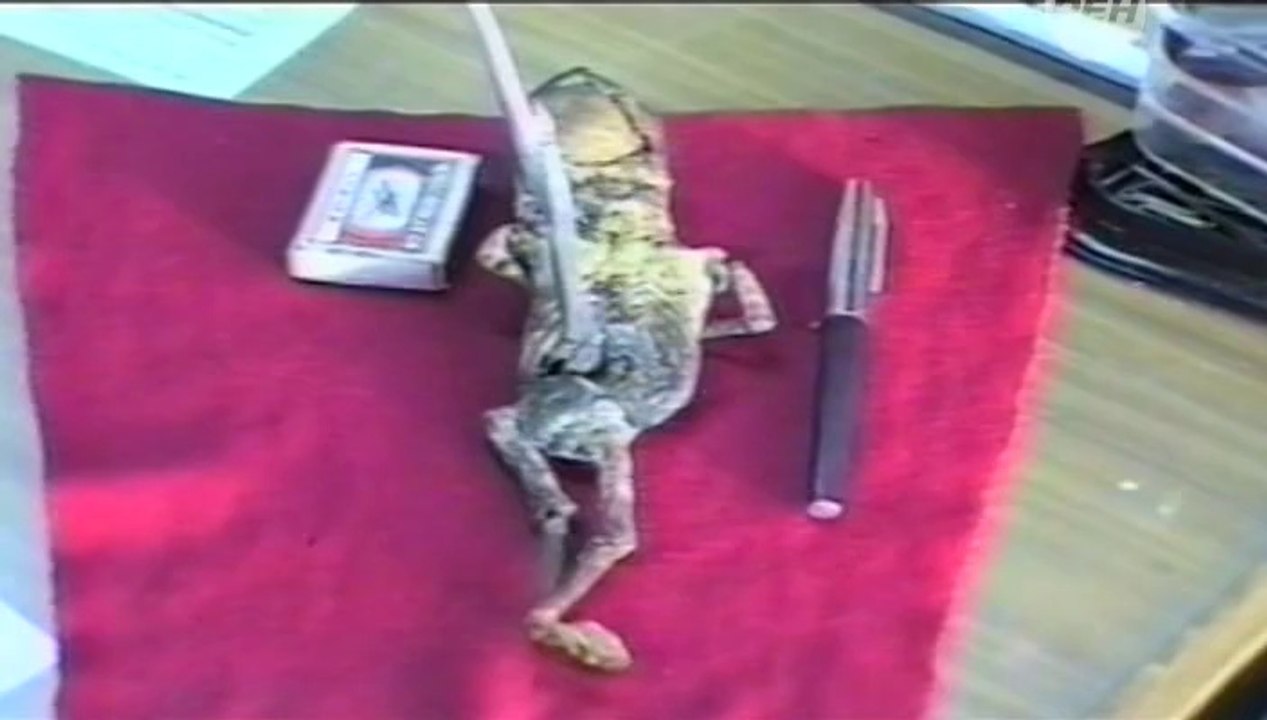 Скрытые под водой 2014.09.19 OnlyKinox.ru