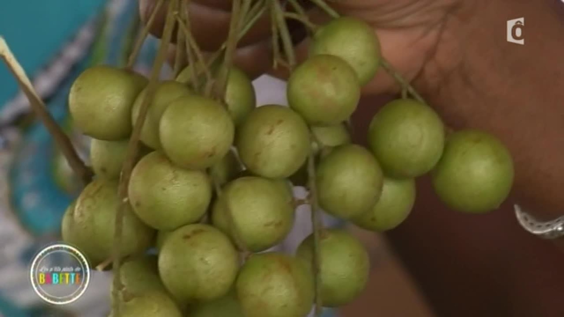 Quenette Fruit Loving My Vegan Life | GUINEP!!!!
