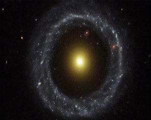 Zu dumm um frei zu sein