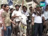 Riding Donkeys To Protest Against Petrol Price Hike (You Know What It Means :)