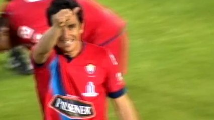 Fierce screamer from Palacios