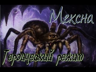 Hearthstone: Героический режим - Мексна