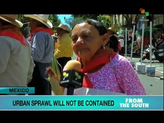 From the South - Afternoon Edition