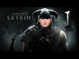 Странствия в мире Skyrim #1 Выбор расы