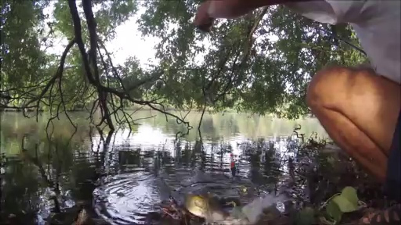Pêche et "relache" d'un Brochet très malin !!!