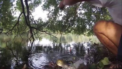 Pêche et "relache" d'un Brochet très malin !!!