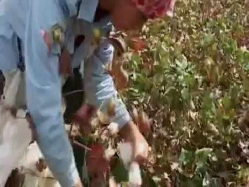 Devrim Kaya & Kırtıl  Semahı