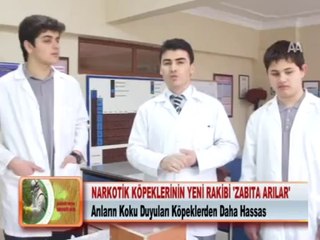 NARKOTİK KÖPEKLERİNİN YENİ RAKİBİ ZABITA ARILAR 26.03.2012