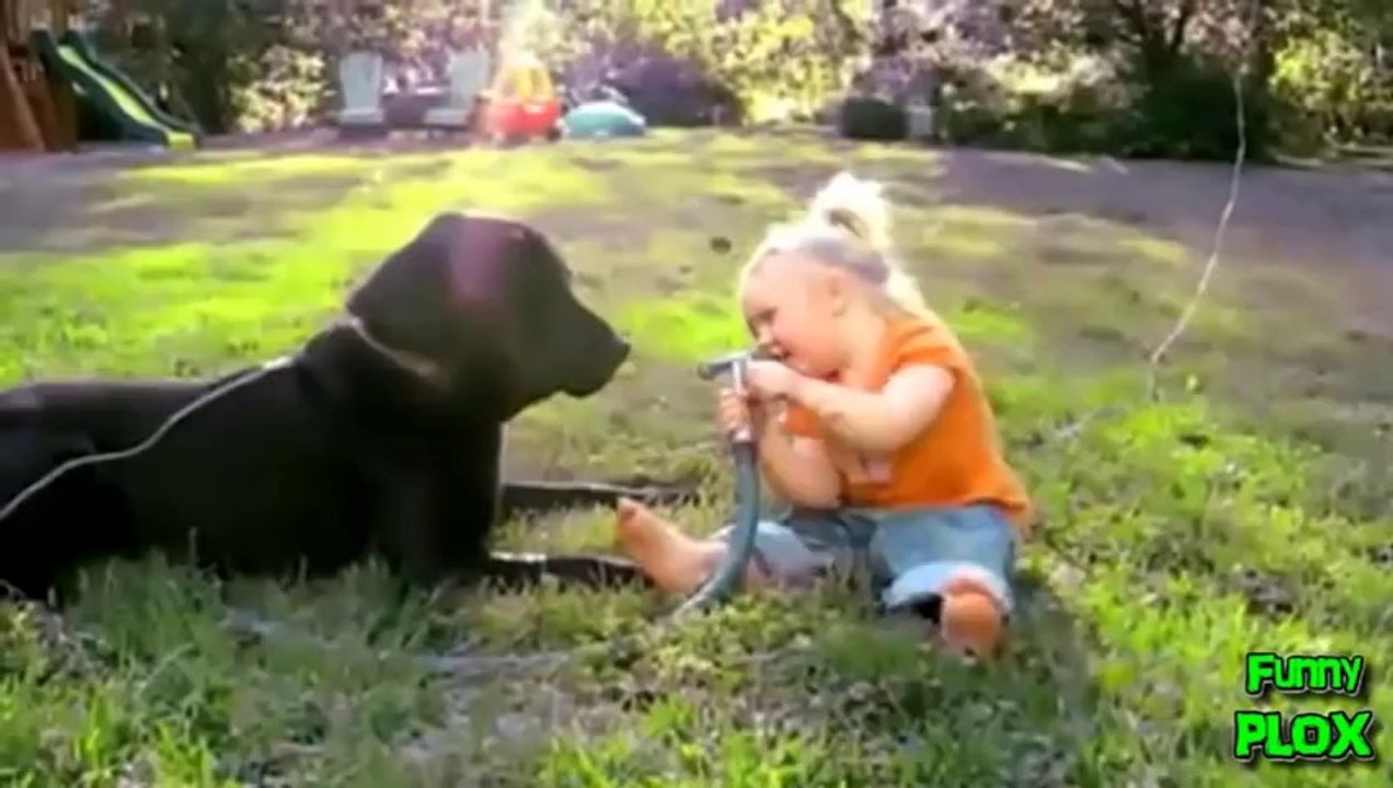 Babies Laughing Hysterically at Dogs Compilation 2013 [HD]