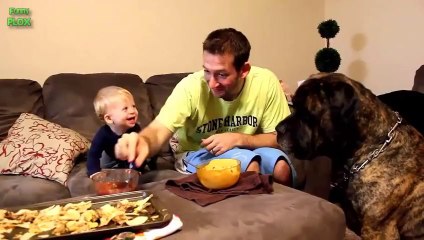 Babies Laughing Hysterically at Dogs Compilation 2014 [NEW HD]