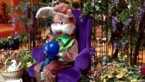 Babies React to Meeting Easter Bunny Compilation 2014 [NEW HD]