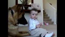 Best Very FunnyDogs And Children Very FunnyVideos with your kids mp4 HD