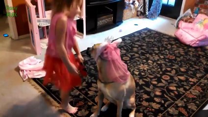 Dogs Are More Patient Than Humans Compilation 2014 [NEW HD]