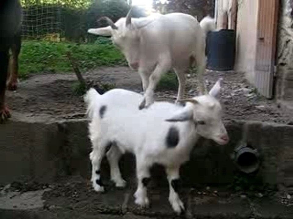 Emi et Maya 3