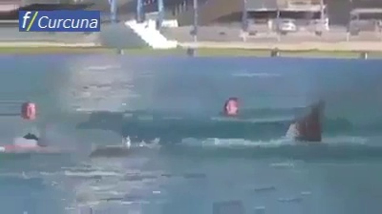 Denizdeki adama köpek balığı şakası yapılırsa