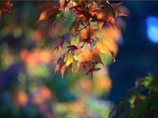 めぐり逢いたくて POUR EN ARRIVER LA (ダリダ & Ddlida) シャンソン / 訳詞初稿 Sima