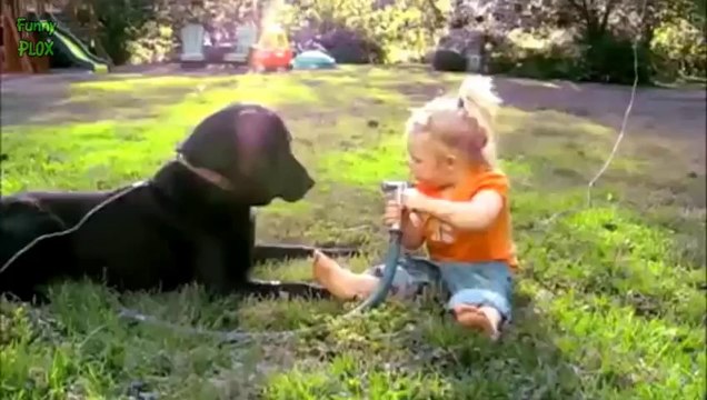 Funny Dogs and Babies Playing with Hoses Compilation 2014 [NEW HD]