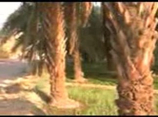 مقام خاکِ شفا مد ینہ شریف Madina Sharif Khaq Shifa