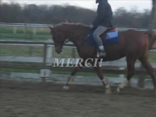 Pour ma kala et mes amies